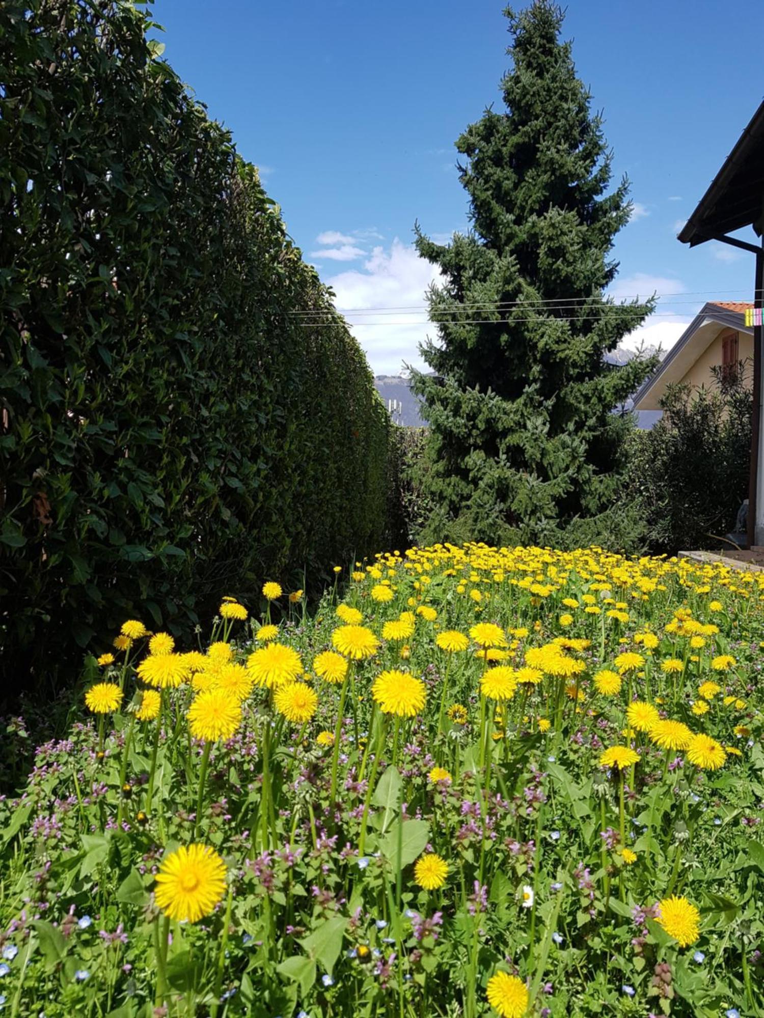 Villa Iris -Pet Friendly Stay - Garden - Private Parking- Bike Friendly Holiday House Colico Exterior photo